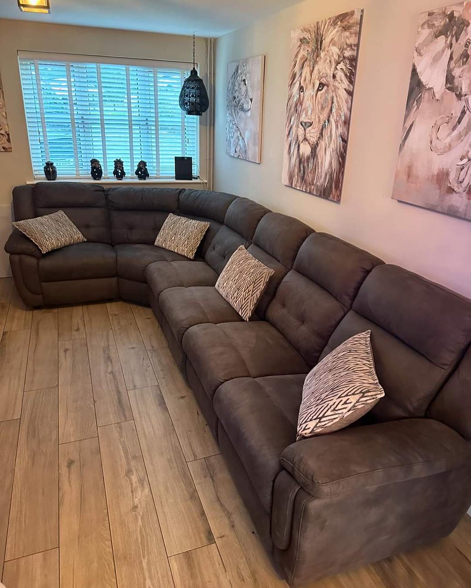 Pro Clean Carpet Services tweet media