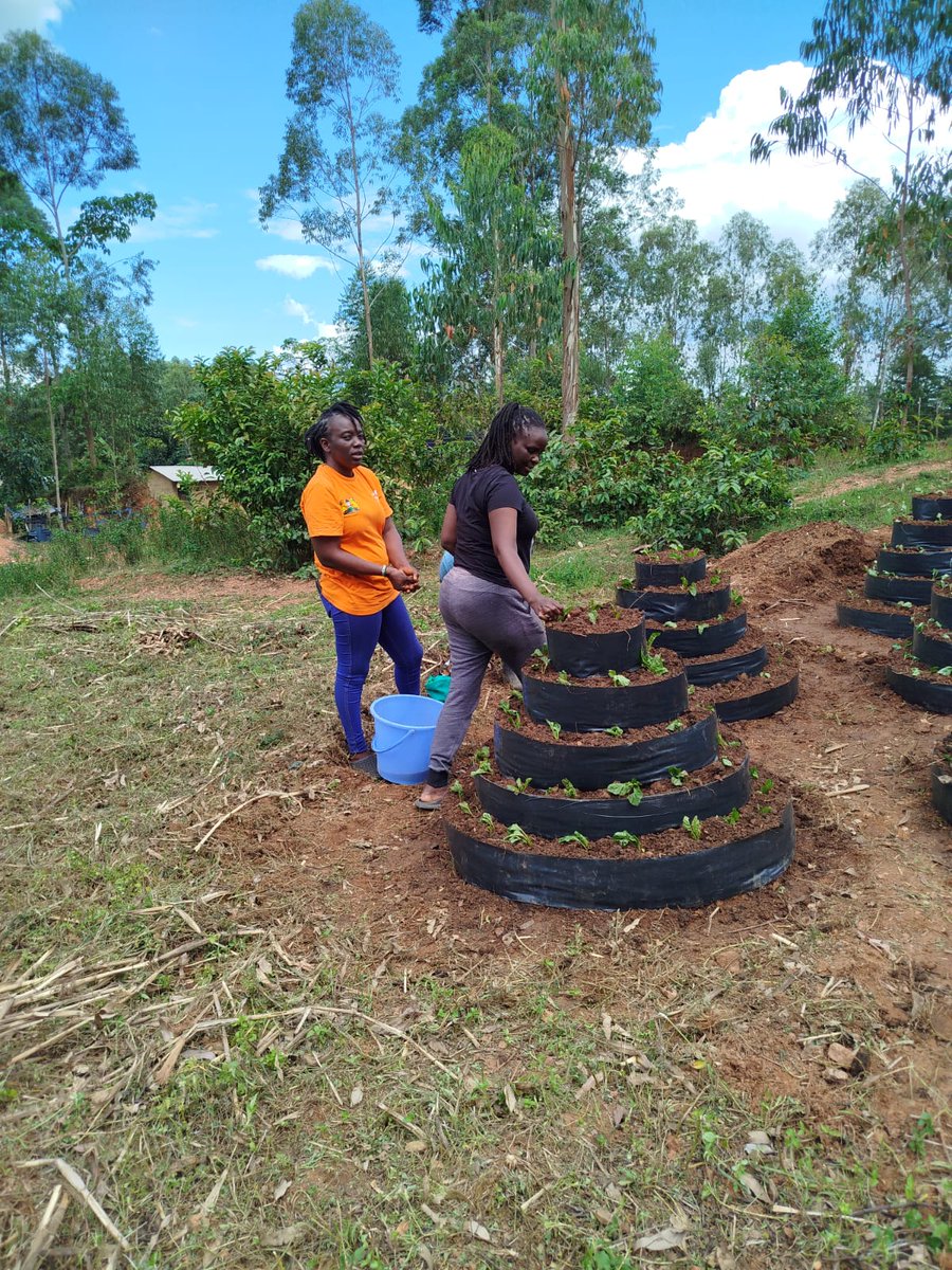 FRIENDLY INNOVATIVE DEVELOPMENT SOLUTIONS (FIDS) tweet media