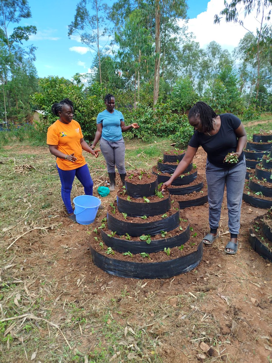 FRIENDLY INNOVATIVE DEVELOPMENT SOLUTIONS (FIDS) tweet media