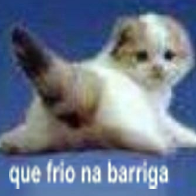 bricohaha's tweet photo. https://t.co/Dbob7OzyHI
