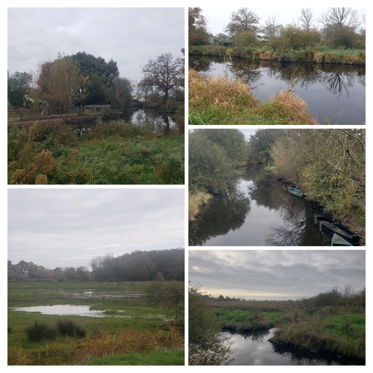 #Généalogie 
Étant donné que je parle souvent de briérons dans mes articles, un petit aperçu de la Brière à Saint-joachim 😊