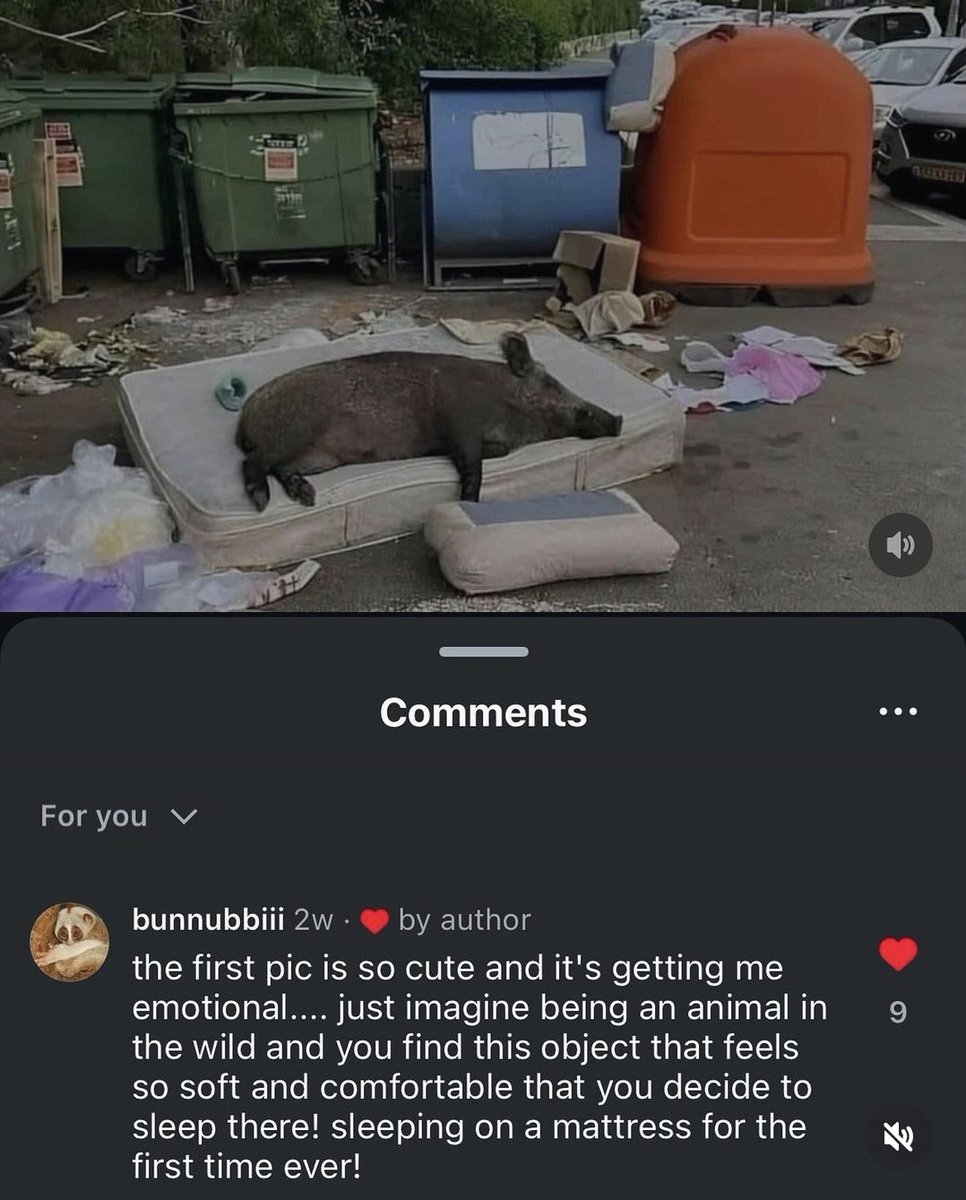 Goblin Moder tweet media