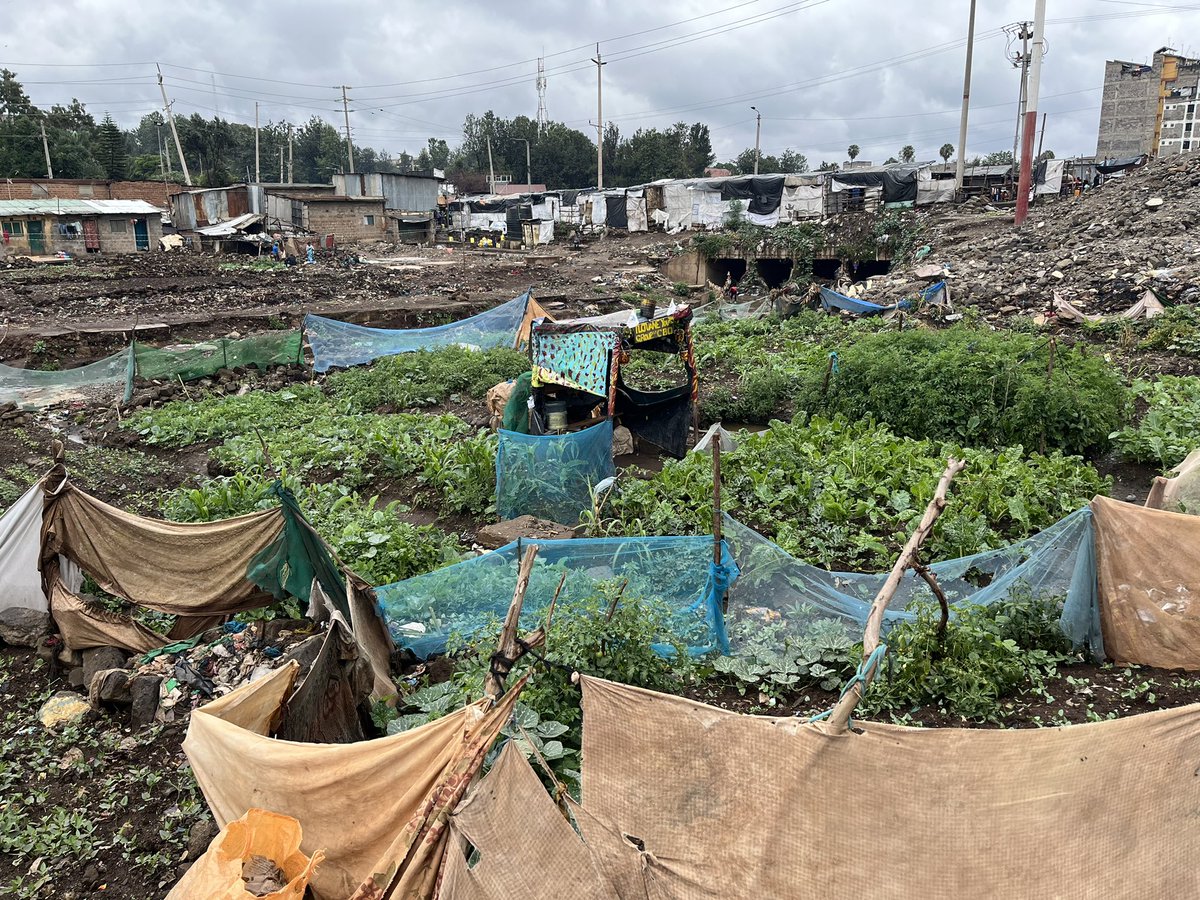 Skitter W. Ocharo, PhD, HSC (@skitterdr) on Twitter photo #WomenEmpowerment
#climatechange
#MafurikoSioMwisho
<a href="/wopcaa/">Women Peace Climate Resilience Justice Association</a> in MATHARE #WomenEmpowerment
#climatechange
#MafurikoSioMwisho
<a href="/wopcaa/">Women Peace Climate Resilience Justice Association</a> in MATHARE