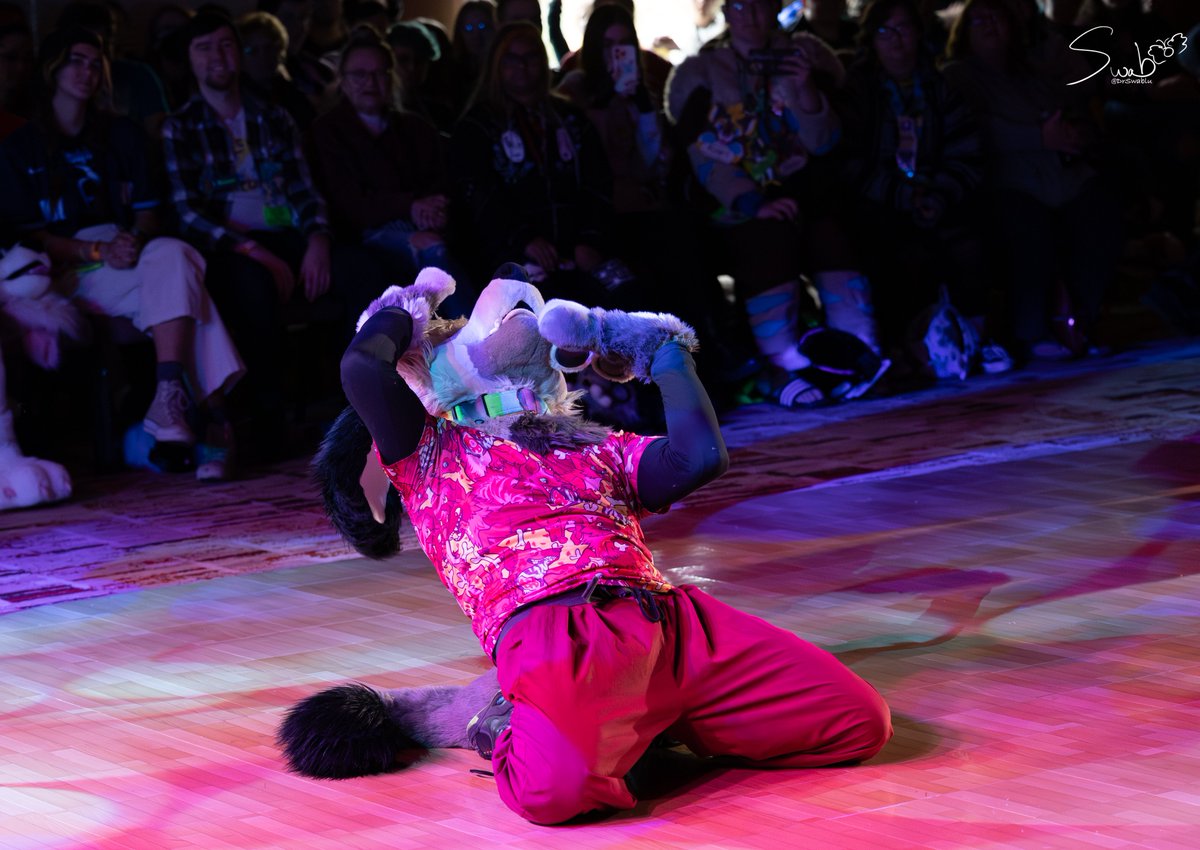 DrSwablu's tweet photo. Huge shoutout to Adondis for first place at #aquatifur2024 your set was super awesome keep up the great work!
๐ธ: @DrSwablu (me)
๐พ: @AdondisArt
#aquatifur #aqf2024 #furry #dancecomp #furrydancecomp https://t.co/j5ickvTIkP