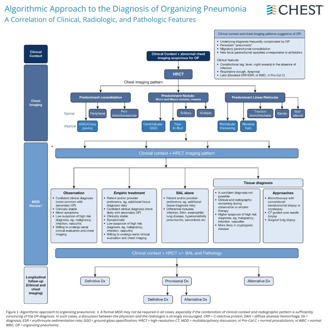 A #JournalCHEST Special Feature summarizes disease presentations and provides a practical approach to diagnosis of organizing #pneumonia. Read and share this research ahead of #WorldPneumoniaDay (November 12): hubs.la/Q02XQv8k0 
#MedEd #MedTwitter