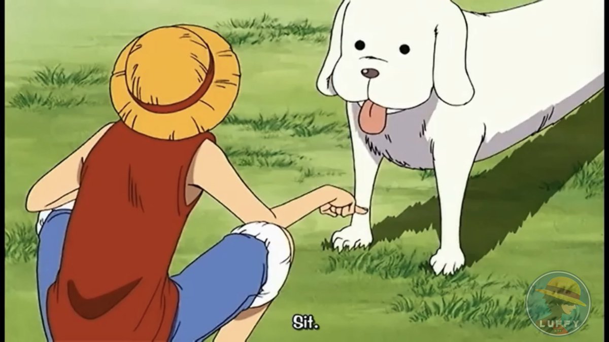 Sure, the cats and dogs are basking in their billion-dollar glory, lounging  atop the market cap mountain. But an #anime coin? Not one has yet claimed  that treasure. So sit, dog—this stage