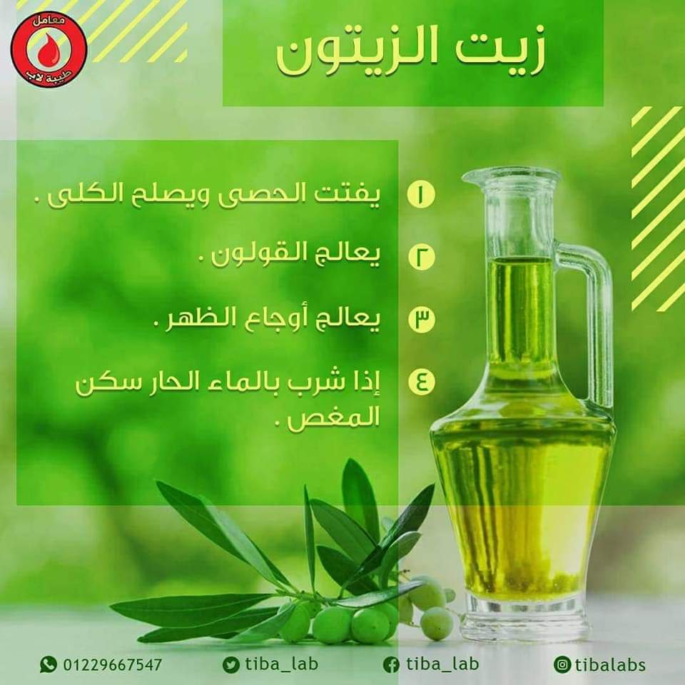 Tiba_Lab's tweet photo. زيت الزيتون 🌱

يعرف زيت الزيتون على نطاق واسع بكونه أحد أكثر الزيوت الصحية و ده لانه يحتوي علي نسبة عالية من الفيتامينات والعناصر الغذائية .

و من ضمن الفوائد دي 👇💯

#دمتم_أصحاء💯❤️
#لأننا_نهتم♥️
#معامل_طيبة_للتحاليل_الطبية
#الأسهل_الأسرع_الأوفر_في_التحاليل🔬🧪 https://t.co/AEK3Xwg5Lp