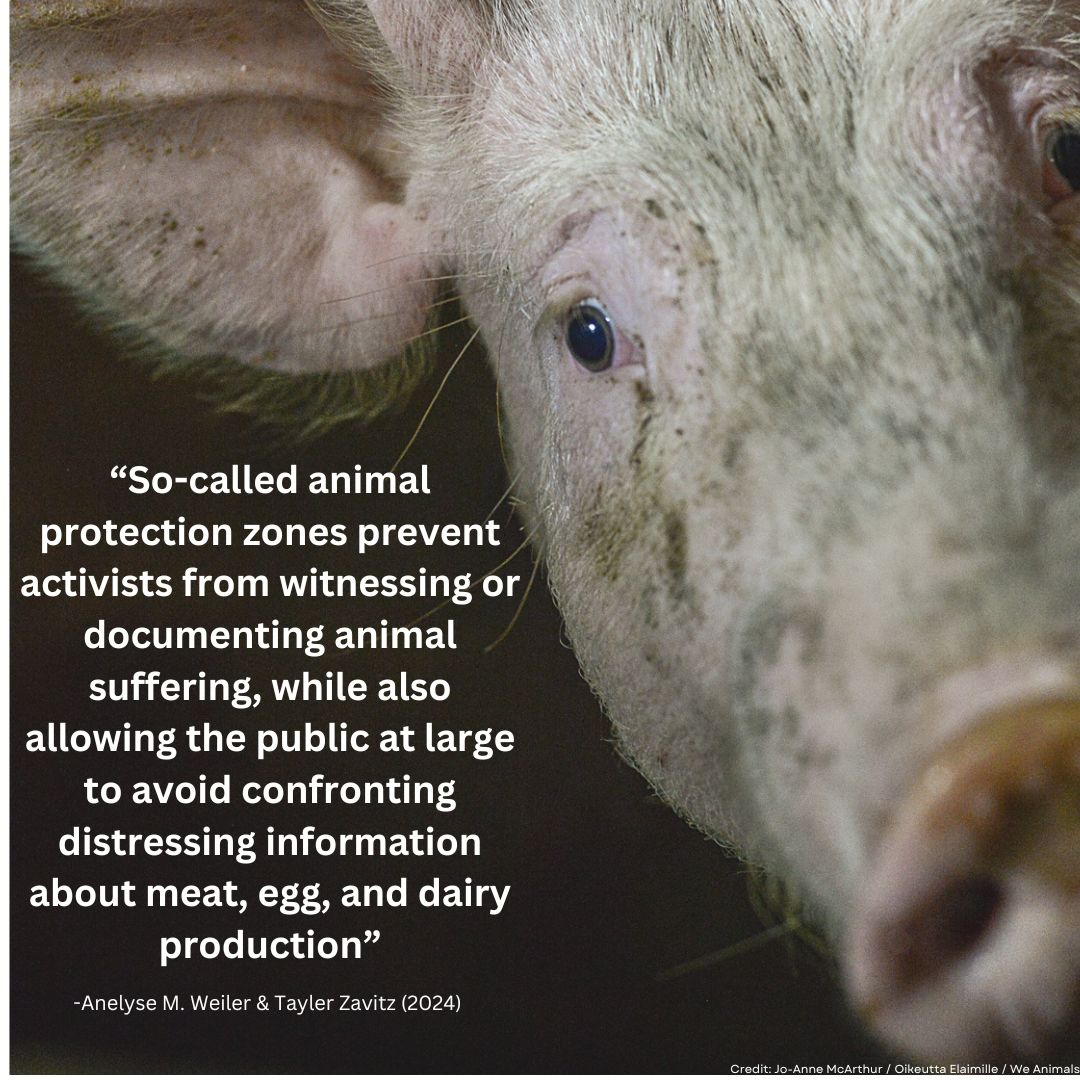 Anelyse Weiler tweet media