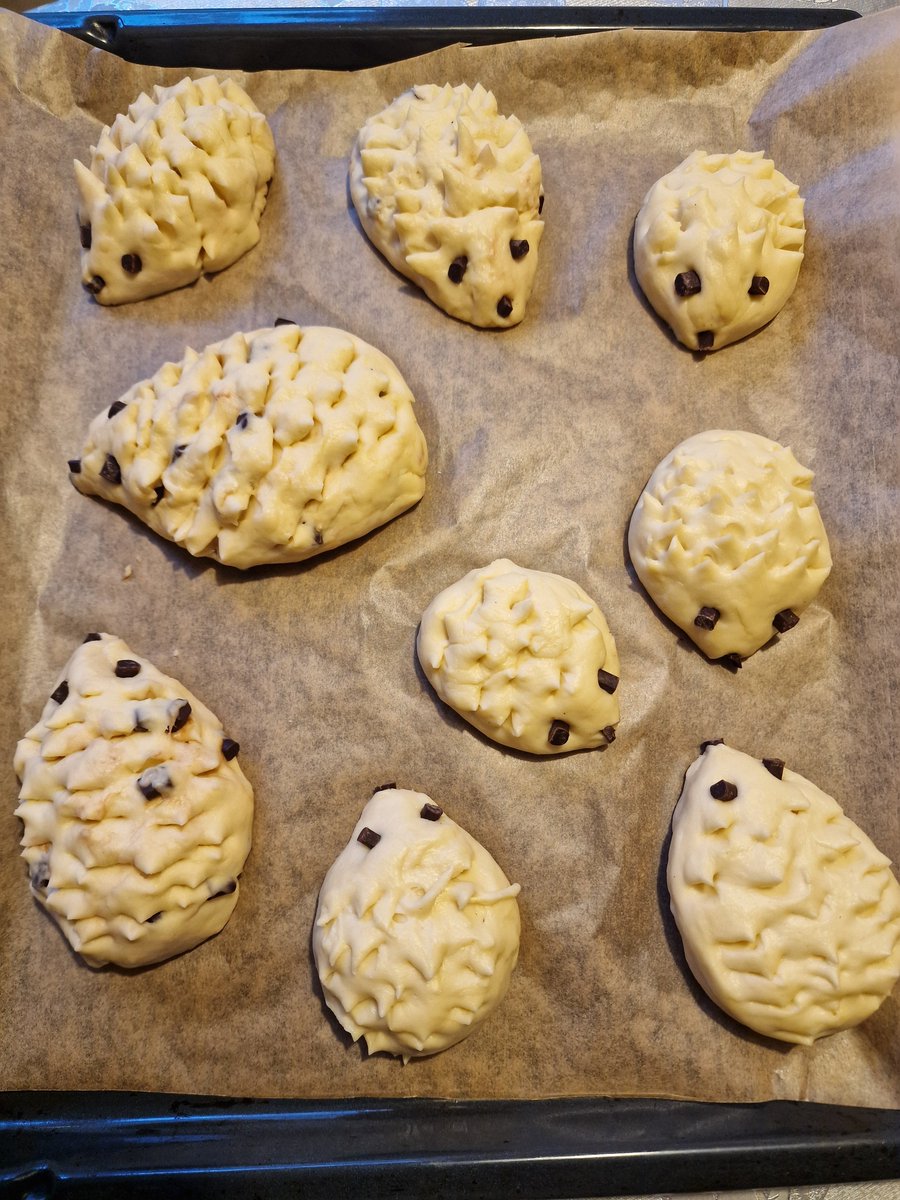 Wald-Puschel🫶🏻⚡🐾 tweet media