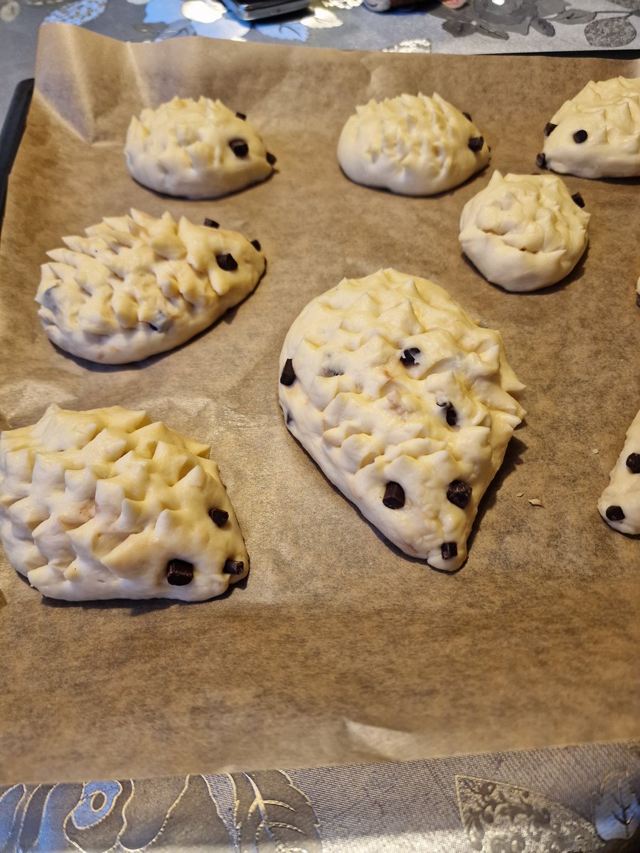 Wald-Puschel🫶🏻⚡🐾 tweet media