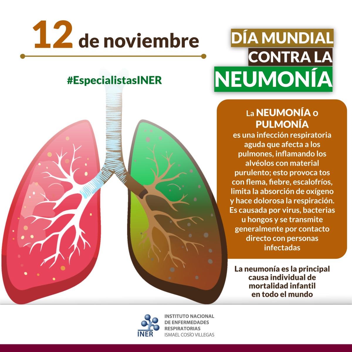RespiraINER's tweet photo. 12 de noviembre I Día Mundial contra la Neumonía
#EspecialistasINER https://t.co/CQMNaXEOUY