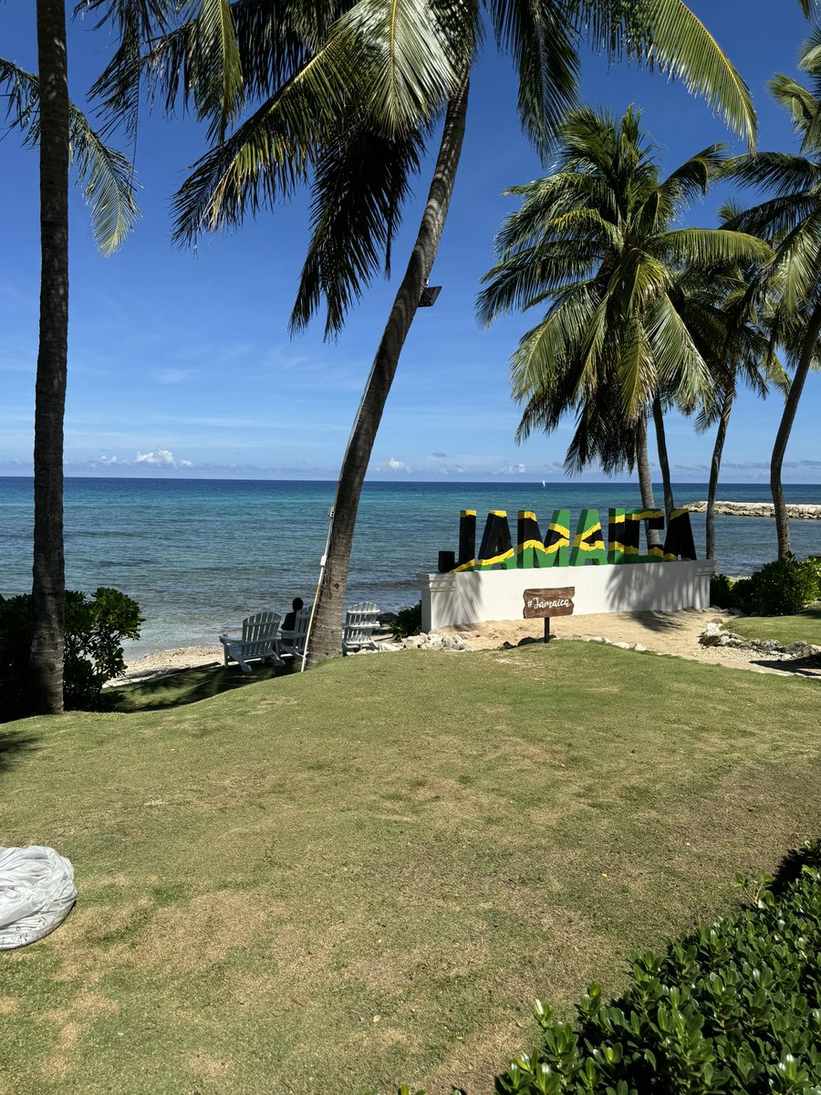 Big Breeze 🌬 tweet media