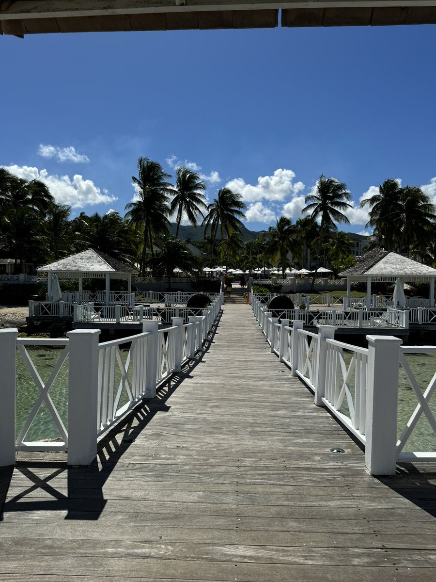 Big Breeze 🌬 tweet media