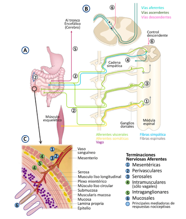 Aegastro tweet media