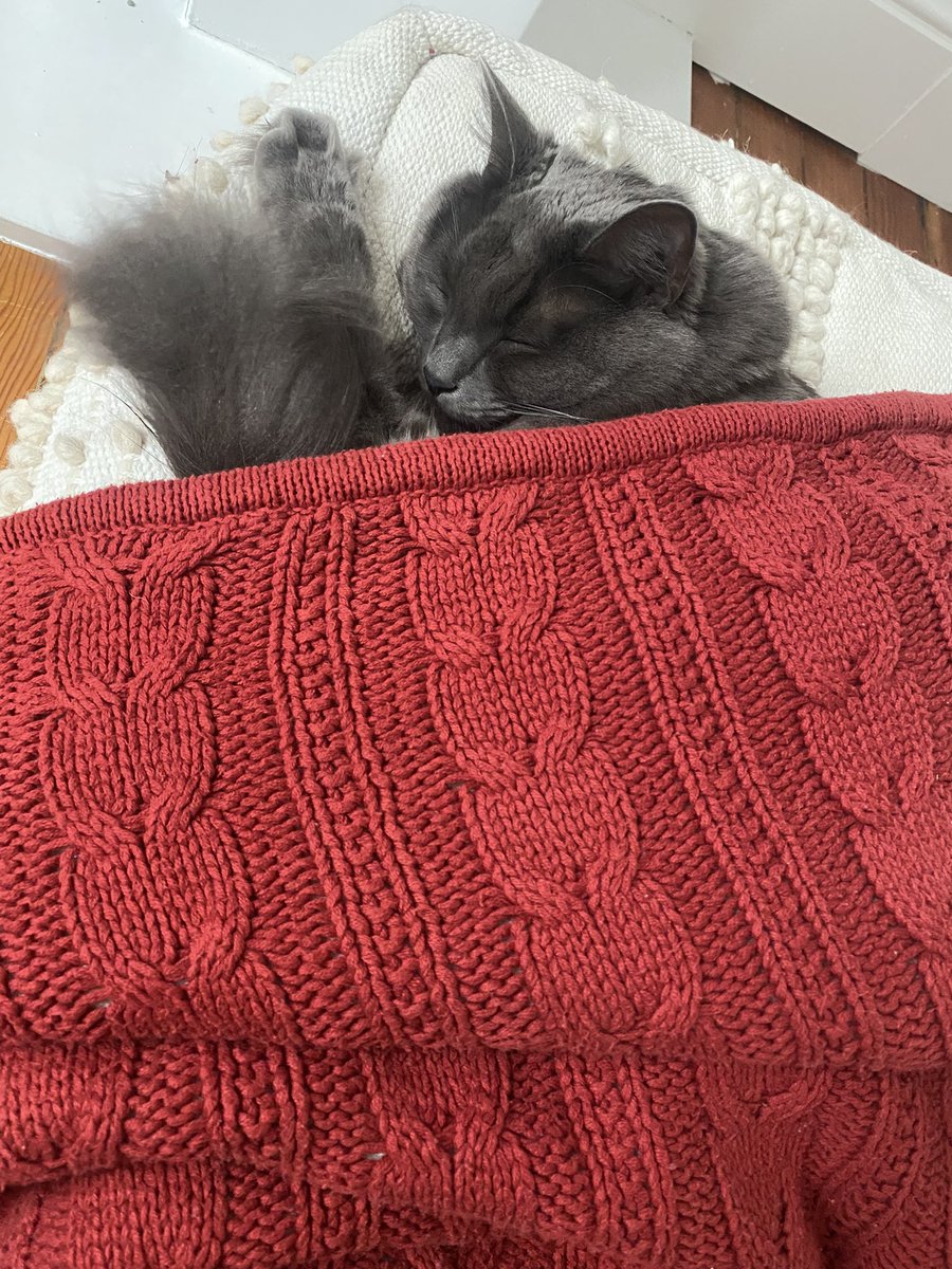 merlin_imaKITTY's tweet photo. i em sendeen cozy vibes on dis rainy mondae https://t.co/OYPcHn1Gxr