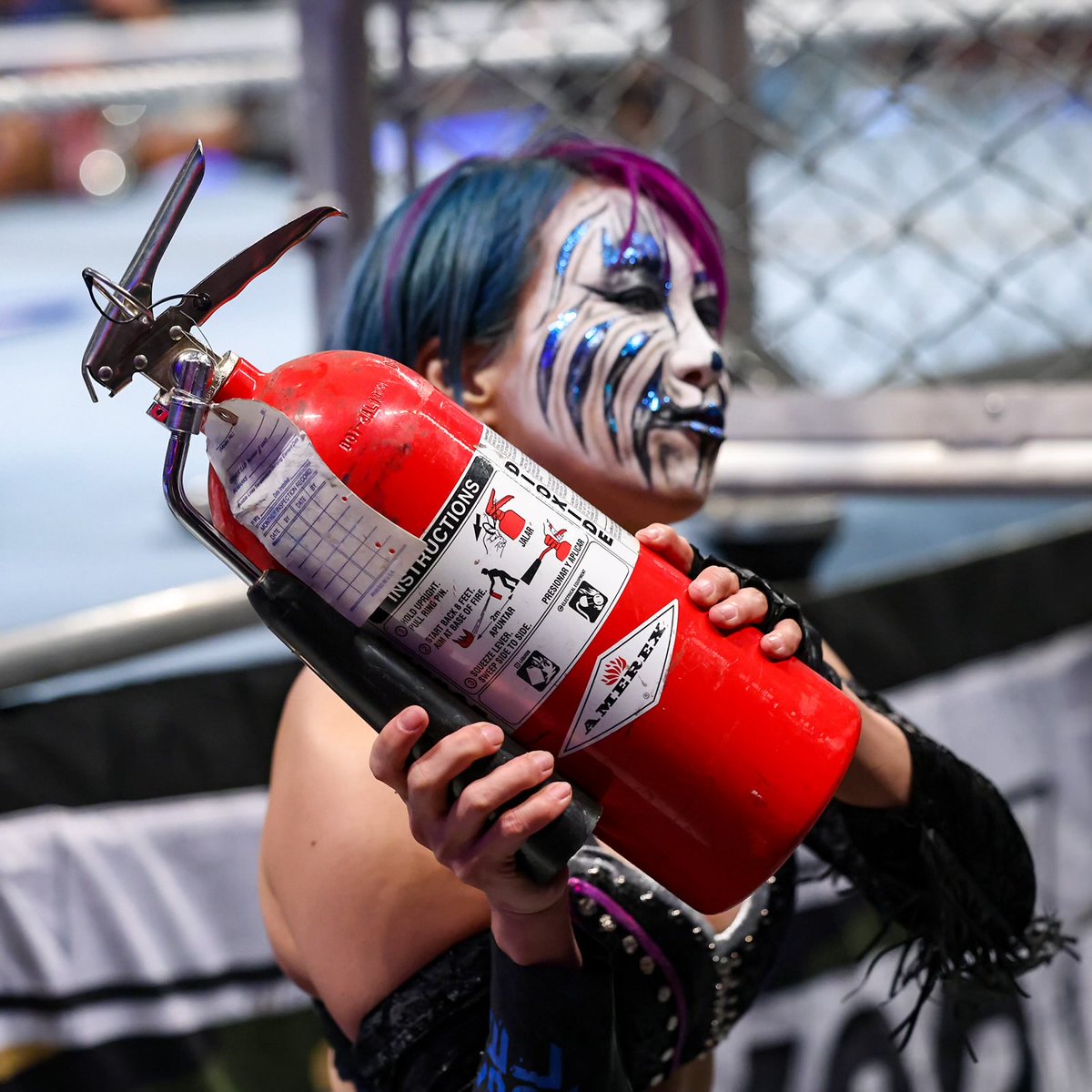 ASUKA / 明日華 (@wweasuka) on Twitter photo 