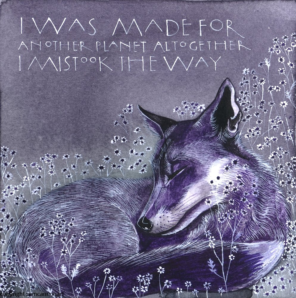 I was in a purple phase at the time.

“I was made for another planet altogether. I mistook the way.” Simone de Beauvoir

My mood remains the same.