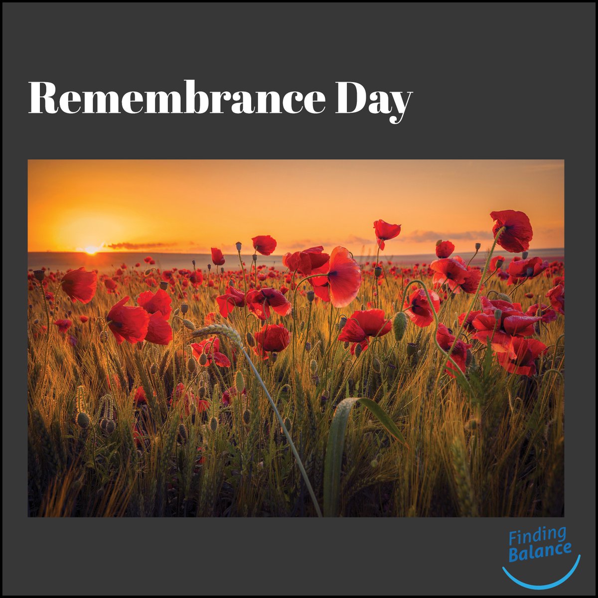 Finding Balance BC tweet media