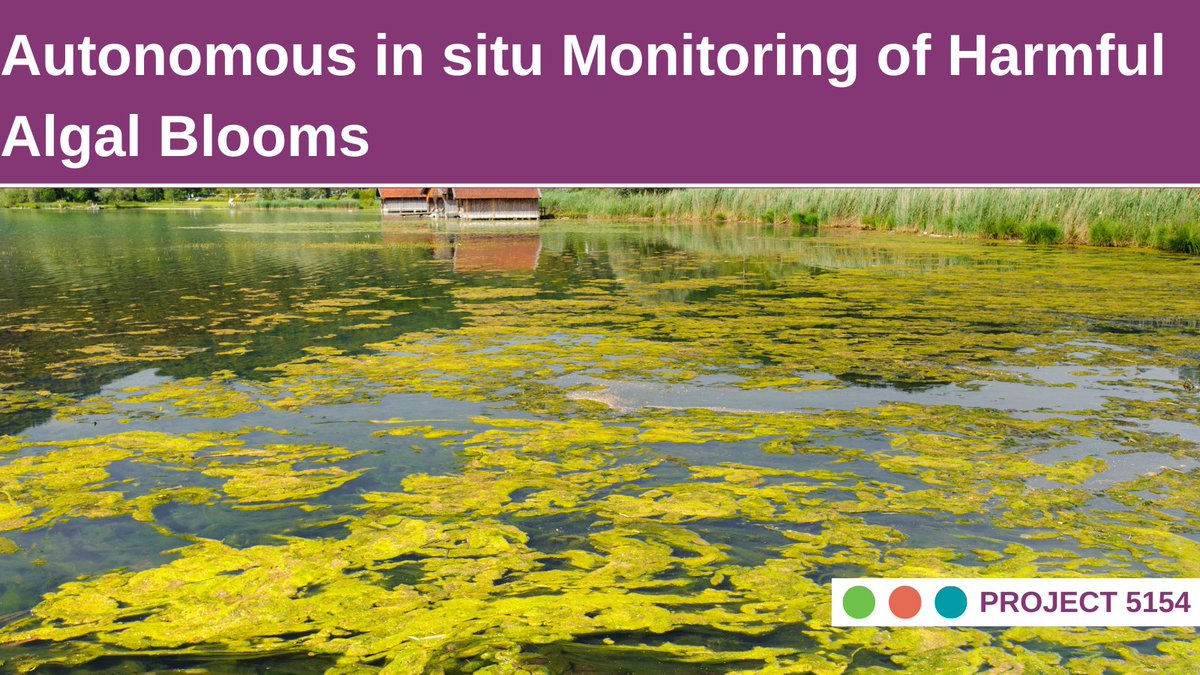 WaterResearch's tweet photo. Project 5154 developed a device to monitor Harmful Algal Blooms (HABs) for nearly all ecosystems 🌎

🧠 JUST PUBLISHED: https://t.co/uWYtih21hK

This project developed the Autonomous Real-Time Microbial Scope (ARTiMiS) device for in situ and low-cost monitoring of HABs through...
🌿the development of a training dataset for algal species of relevance 
⚙️ optimization of machine learning approaches to identify and quantify algal species
🏞️ field testing of ARTiMiS at the pilot plant

👉 Learn More: https://t.co/uWYtih21hK 👈

Principal Investigators: Ameet Pinto (@GeorgiaTech ), John Norton, Jr., P.E., Andrea Busch, & Dienye Tolofari, Ph.D. (@glwatermi )
Project Team: Farhan Khan & Benjamin Gincley (Georgia Institute of Technology)
Research Manager: Sydney Samples, The Water Research Foundation