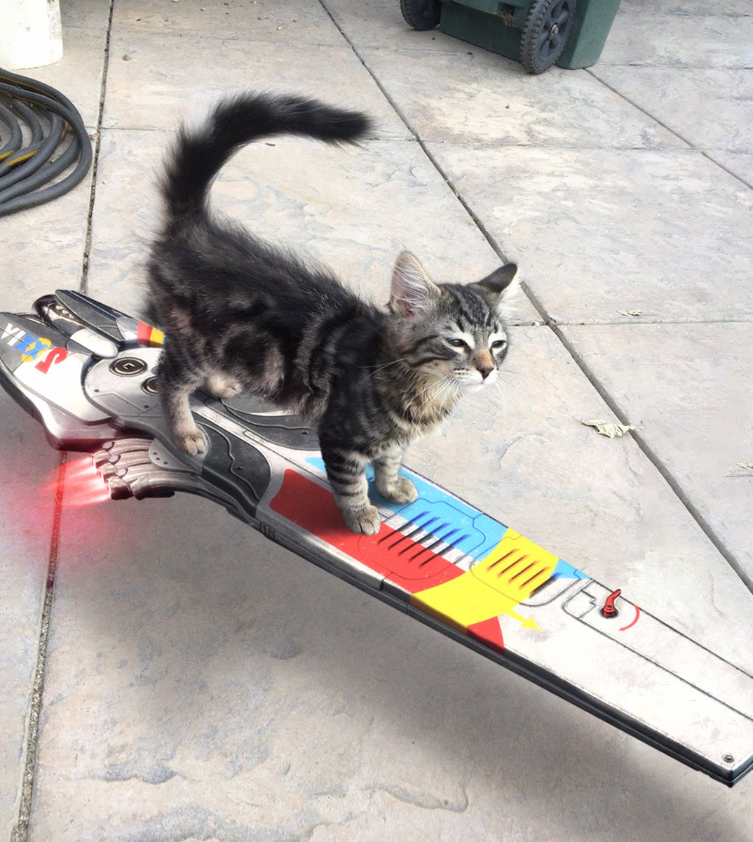 odd (@oddmb_) on Twitter photo 