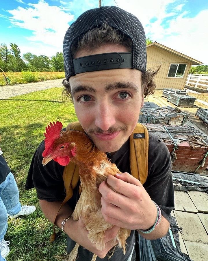 chrisrobbies's tweet photo. soooooo new member to the family? rightttttt babe? 😁 https://t.co/WhHiAdVFpV