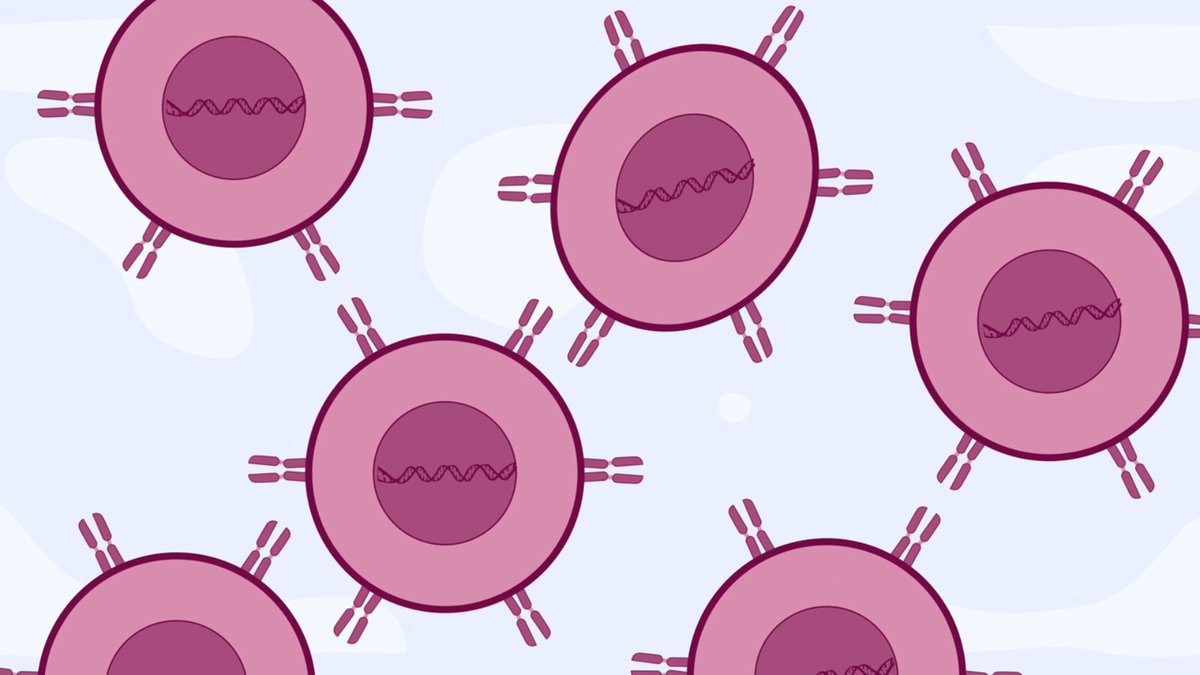 On Friday, Nov. 8, <a href="/FDA/">FDA</a> approved #obecel for B-cell #acutelymphoblasticleukemia (#ALL) Obe-cel is a CD19 CAR T-cell investigational therapy designed with a fast target binding off-rate to minimize excessive activation of the programmed T cells. lnkd.in/gzJFSTrR