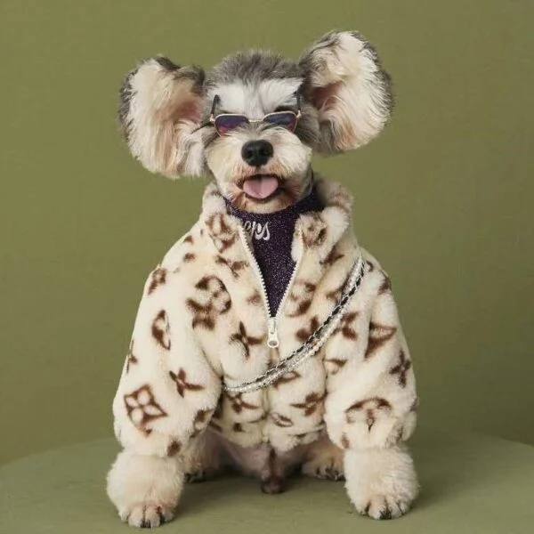 <a href="/TotallyRektUK/">Totally Rekt Degen</a> <a href="/NathanHeadPhoto/">Nathan Head</a> <a href="/solana/">Solana</a>