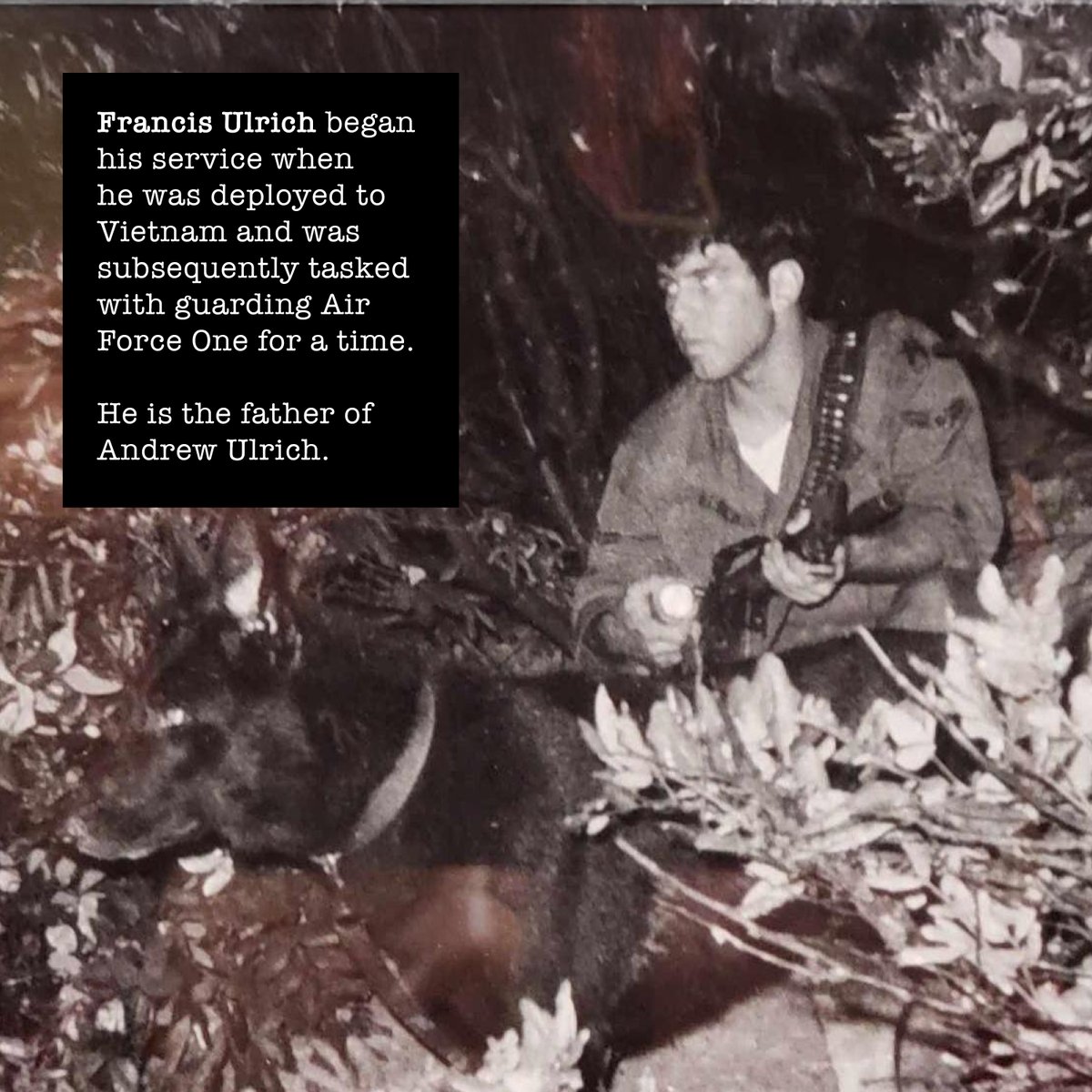 tpi_co's tweet photo. Today, we thank the brave men and women who have served our country.

We have gathered brief accounts highlighting the remarkable deeds of veterans connected to our Technology Partners family.

We are proud to support and honor our veterans!
#VeteransDay #ThankYouVeterans https://t.co/HQYojK2jur