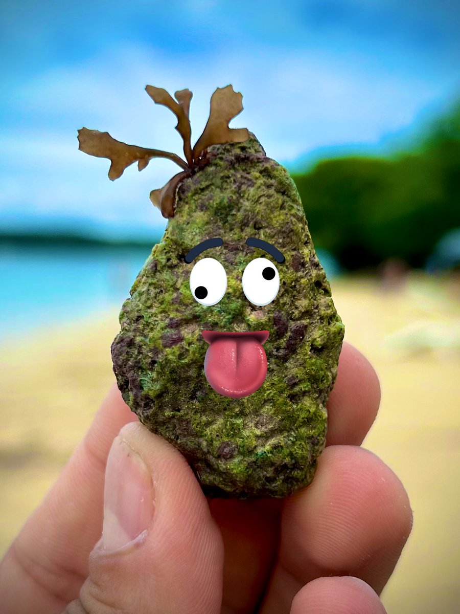 This rock could easily be a Korok-like videogame character.