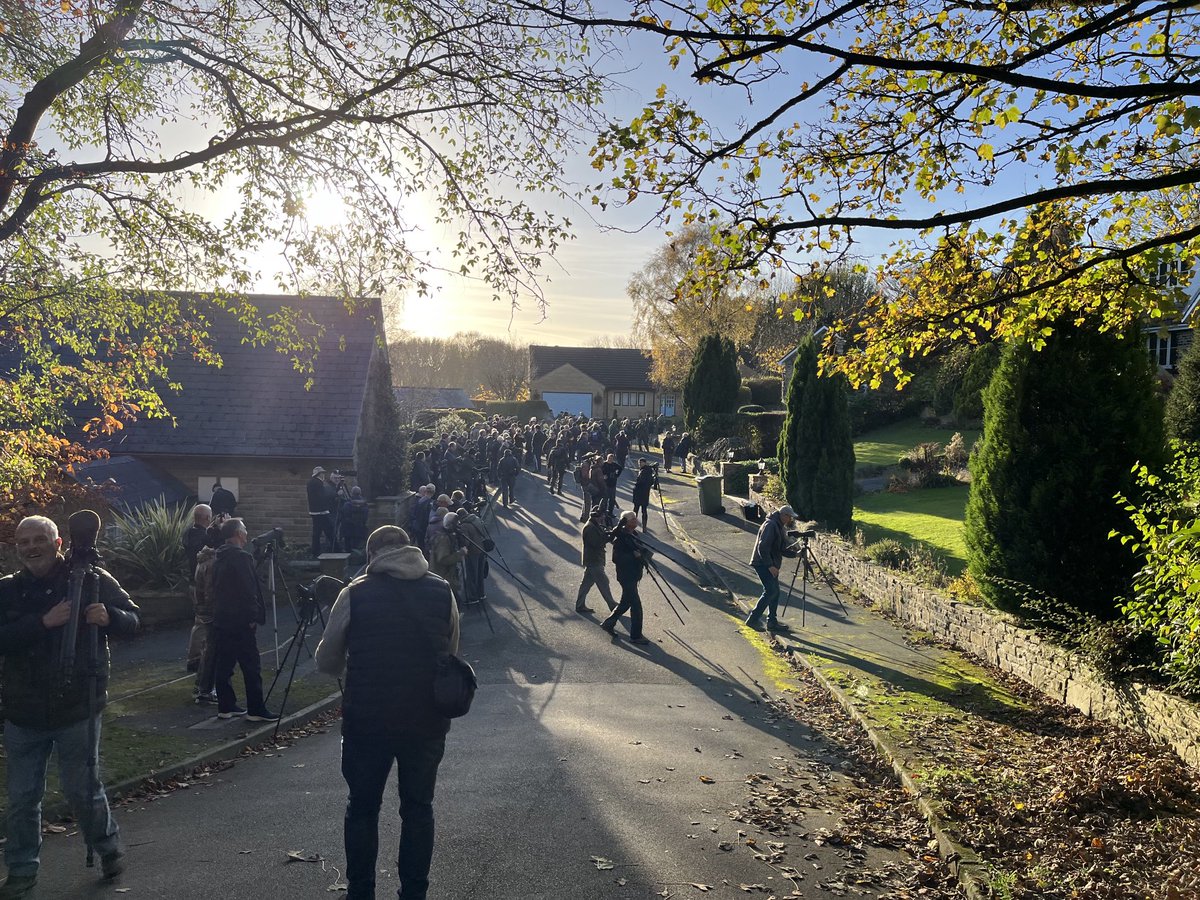 Darrel Bryant tweet media