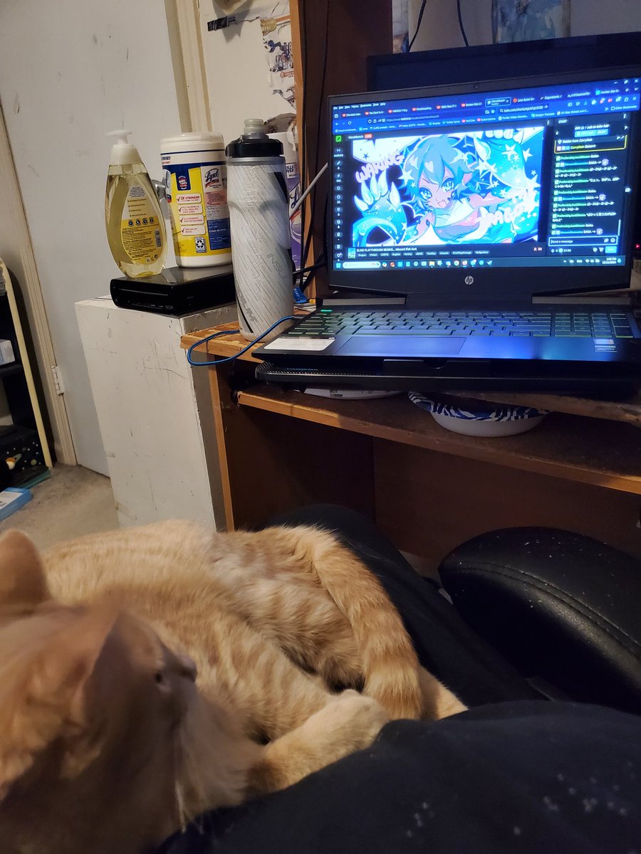 sunfestaI's tweet photo. me n cinna watching mora stream https://t.co/sFU7WDEtbQ