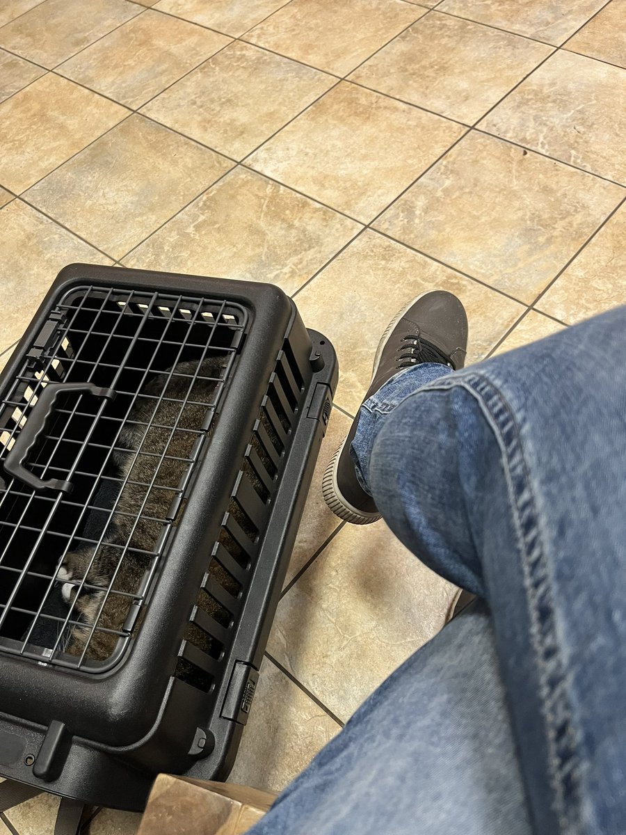 #wazifubo Tierarzt-Edition 🙄