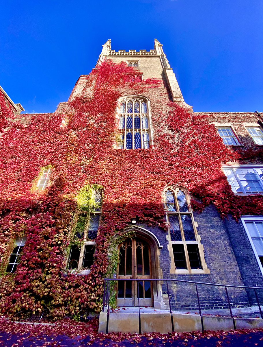 Matt Farr tweet media