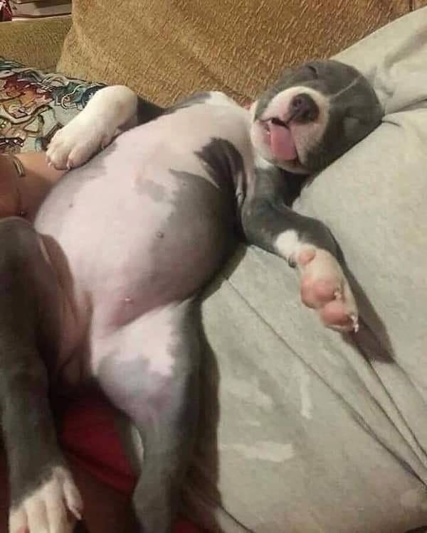 The most beautiful thing you will see today!!