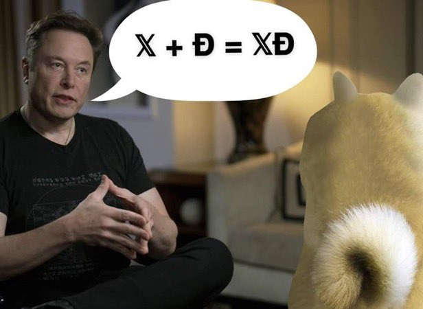 The Dutch Doge Guy 🐕 tweet media