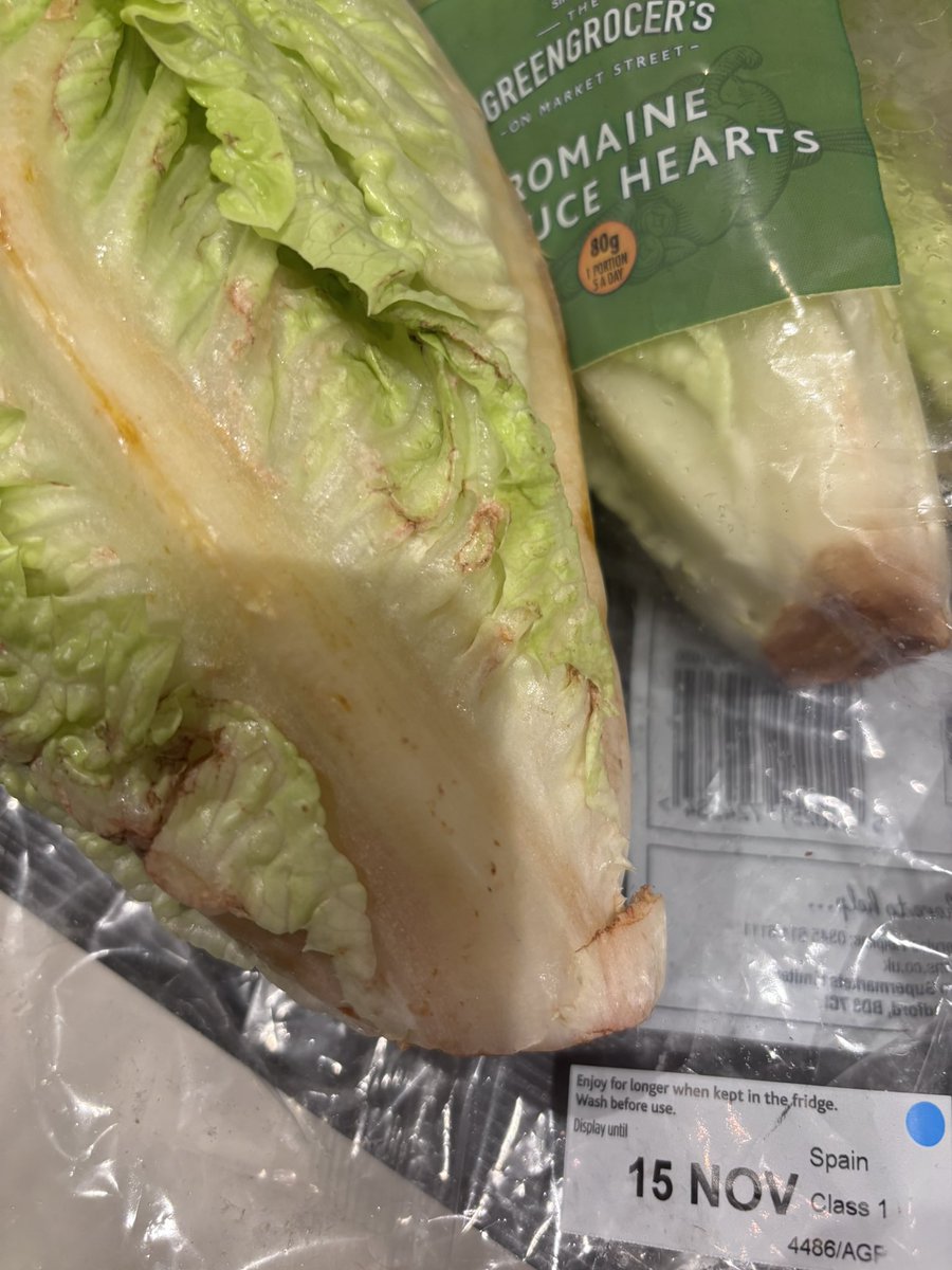 Hester Grainger tweet media