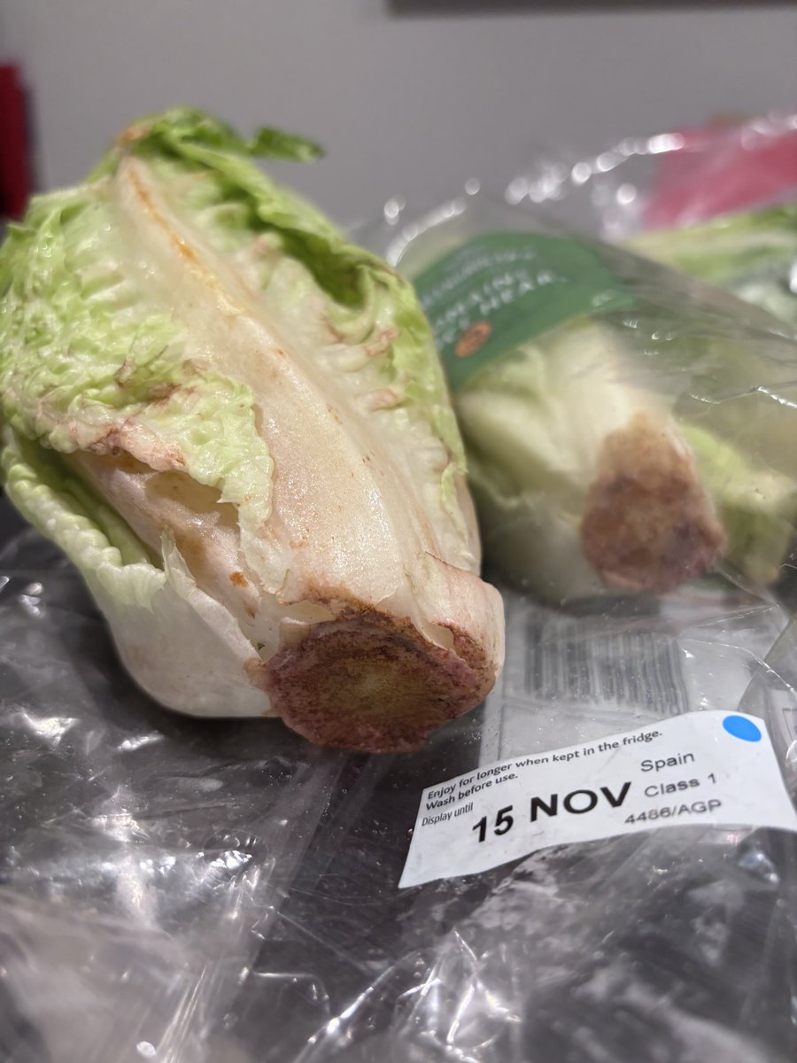 Hester Grainger tweet media