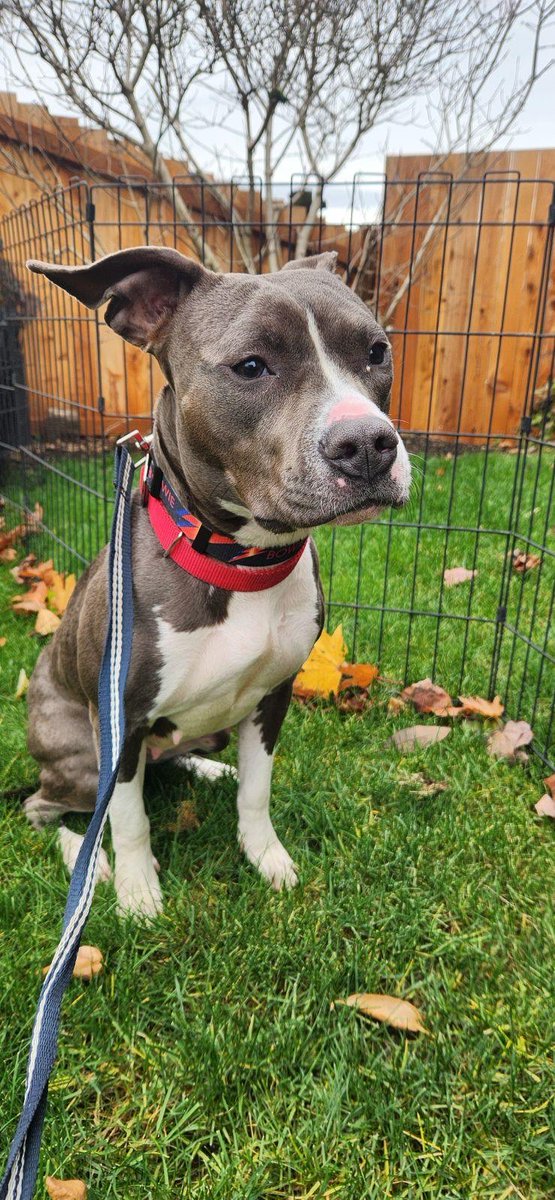 Brandi Kruse tweet media