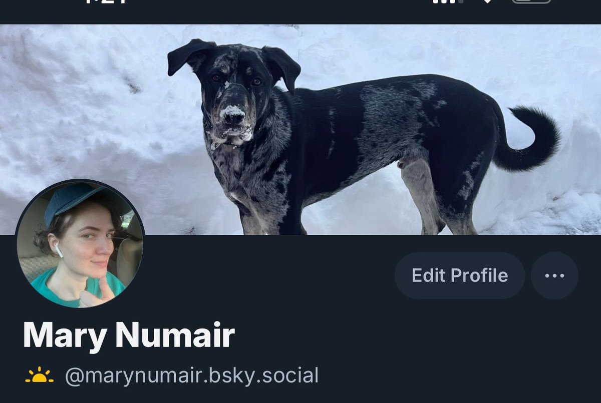 I’ve only been over there for a day but so far it’s mostly nice people, sports, and sexy animals (both real and cartoon)