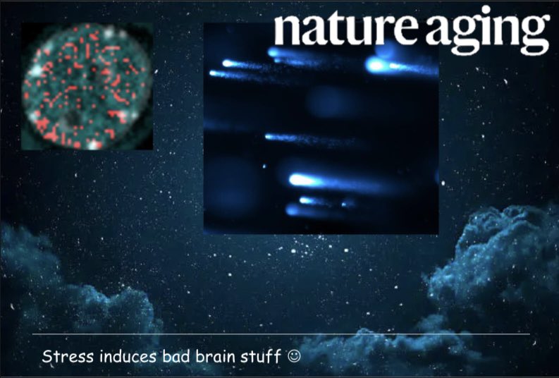 Credit to Seth McGonigle and JP Pallais for their suggested cover art design 🎨