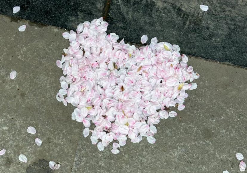 heartzjpg's tweet image. heart