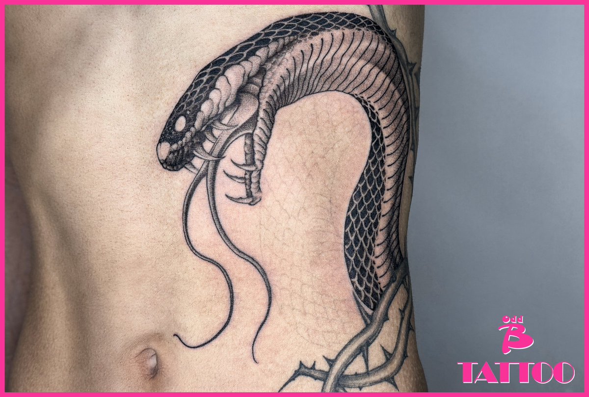 BridTATTOO's tweet photo. Snake
#茂南区 #广东 #0668 #粤西 #粤k  #纹身 #穿孔 #茂名 https://t.co/6CmXUulFk1