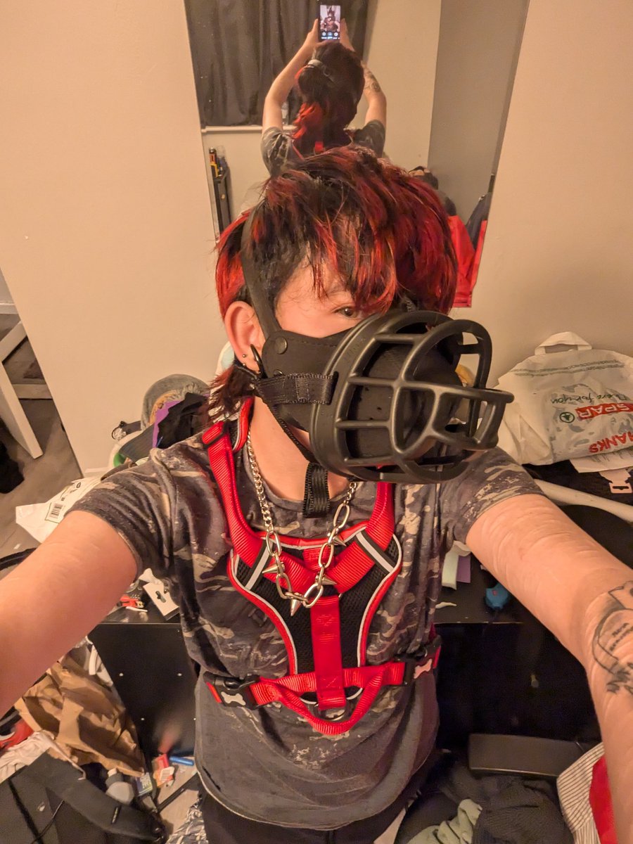 Tor_The_Alpha88's tweet photo. Muzzled for YOUR safety 😈
.
.
.
.
Tags: #pup #pupplaycommunity #puppyplay #nsfw #NMIK #fyp #trans #doberman #dobie #biterisk https://t.co/DeYWM7HPN3
