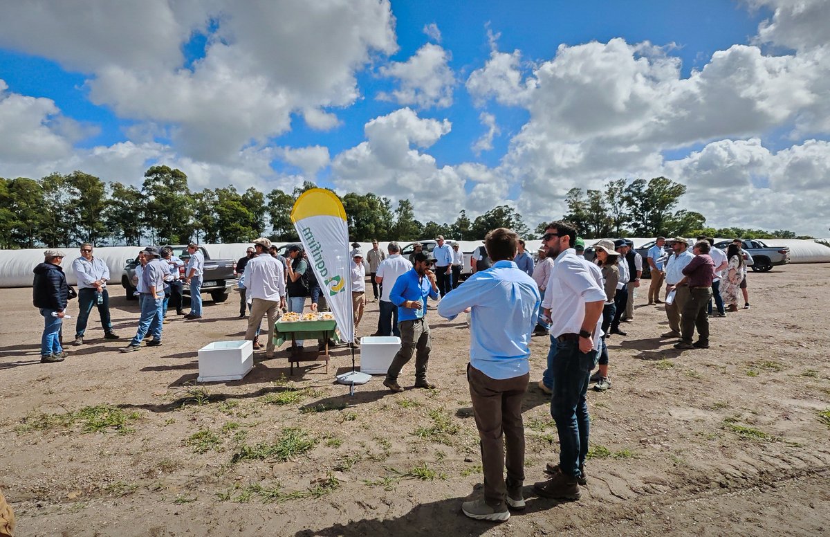 También agradecer a la empresa Agromotora Flores  por abrirnos las puertas de su empresa (Feedlot Santa Maria) y en particular a Juan Antonio y Nigolas Martinez <a href="/agromotora/">Nicolas Martinez Rappalini</a> Bernardo Mendiola por toda la información que compartieron!