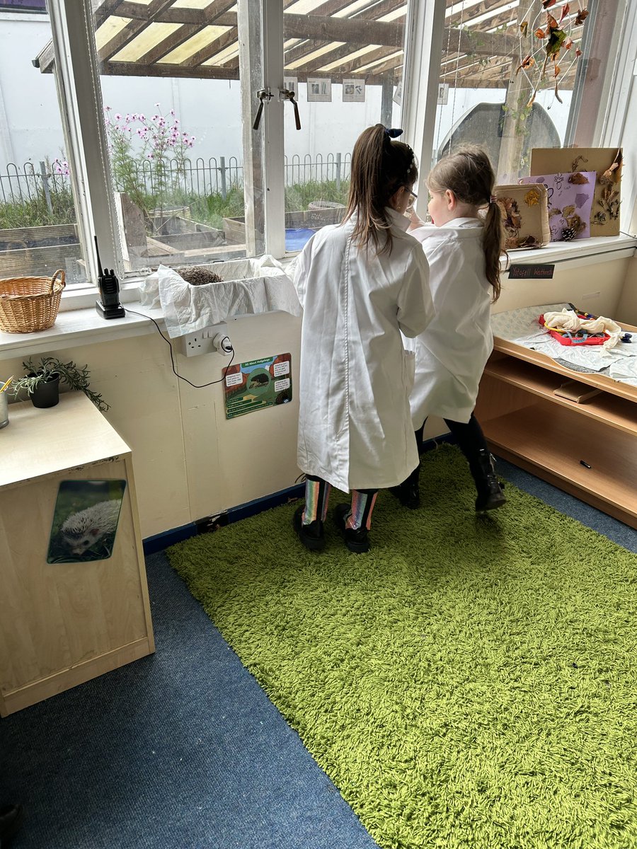 MissNCleaton's tweet photo. Our hedgehog hospital has been a huge hit since we’ve returned from half term. The learners have loved playing vets, receptionist and worried patients 🦔 @MaendyPrimary https://t.co/JZbcbGkwFl