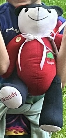 We were delighted to win Woody the Attendance Bear for the second week of 100% attendance in a row. Can 6LF win him for a third week in a row? #NotInMissOut <a href="/WoodlandsPrima1/">Woodlands Primary</a>