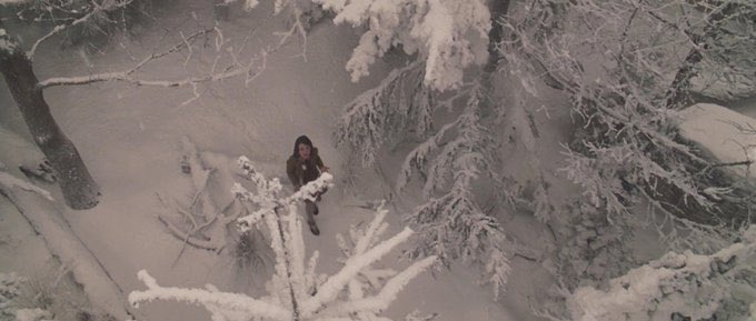 first time in narnia❄️