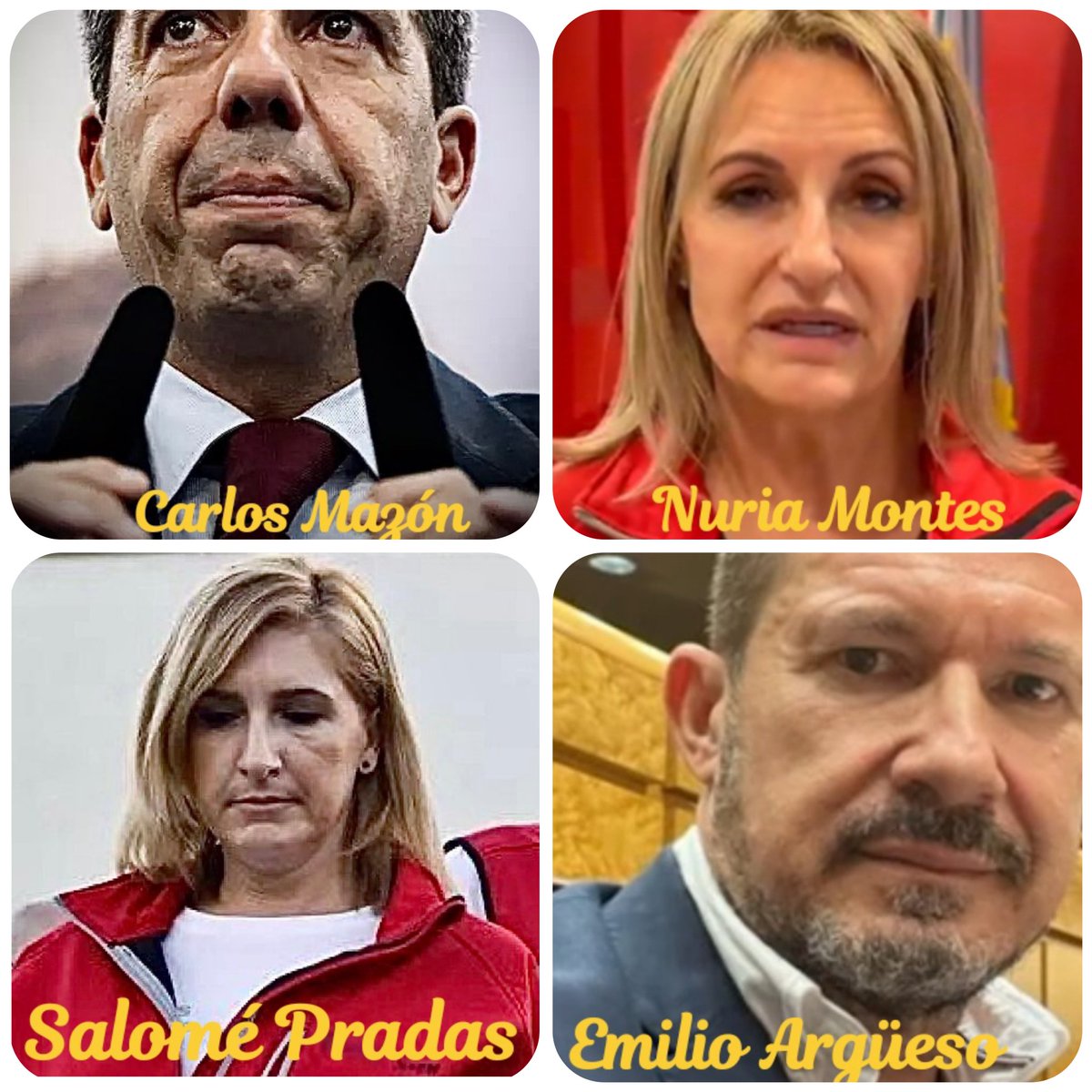 RomanSeixo's tweet photo. @davidcalvoarq @loretoochando @MVTARDE @generalitat DIMISIÓN. #MazonDimisión #Dana
#feijoomentiroso #PPculpable https://t.co/iCTBw9Qg4v