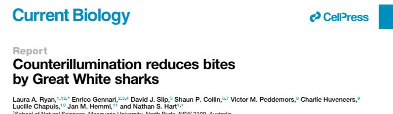 There are a range of possible ways to reduce risk of shark bites. 

Electric deterrents is now well-documented to reduce likelihood of bites, but here is a novel way which could be used by surfers in the future: counter-illumination 

doi.org/10.1016/j.cub.…