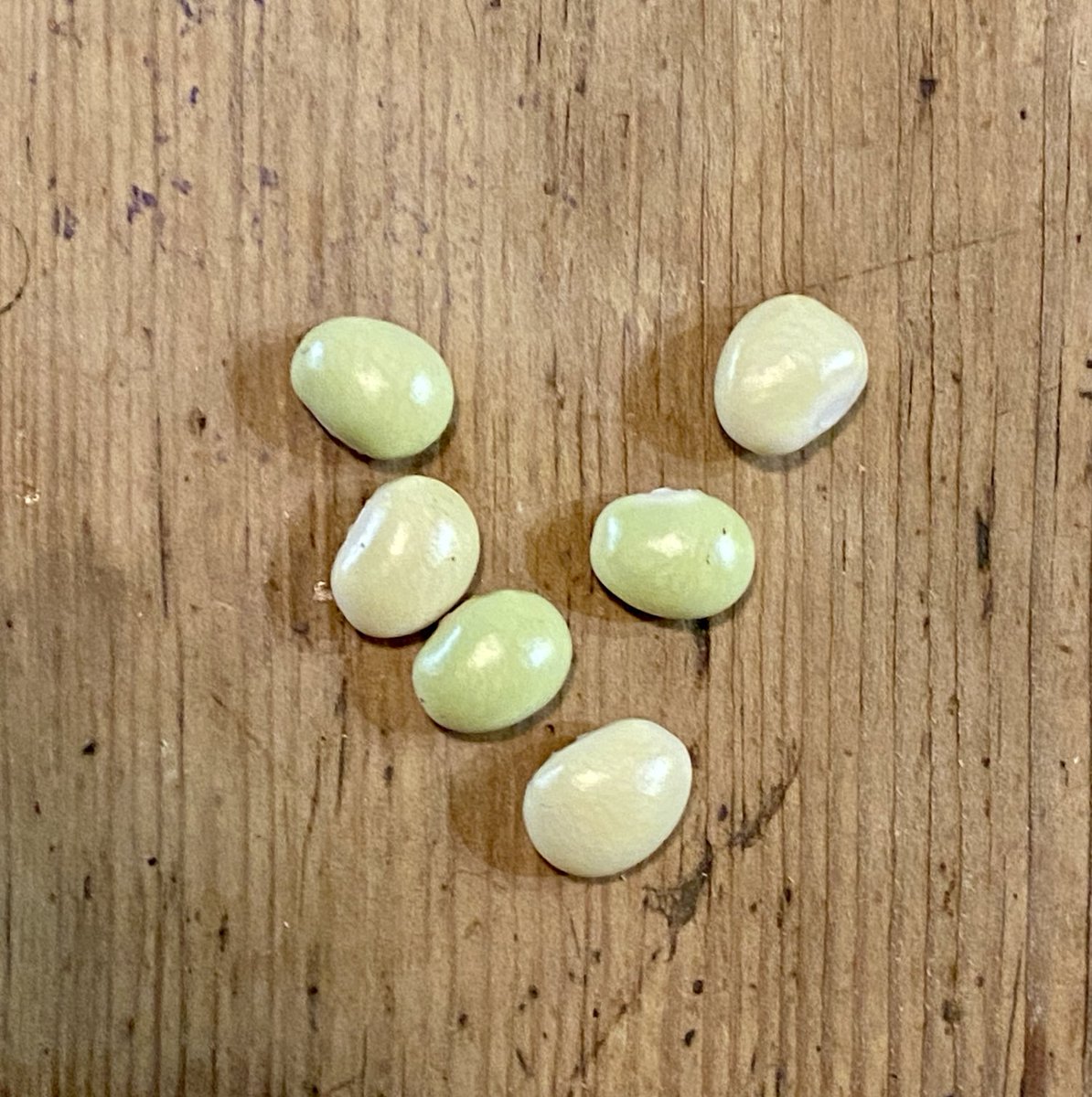 Alison Moyet tweet media